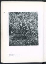 Pag. 118